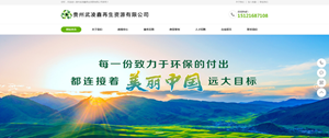 铜仁武凌鑫再生资源有限公司